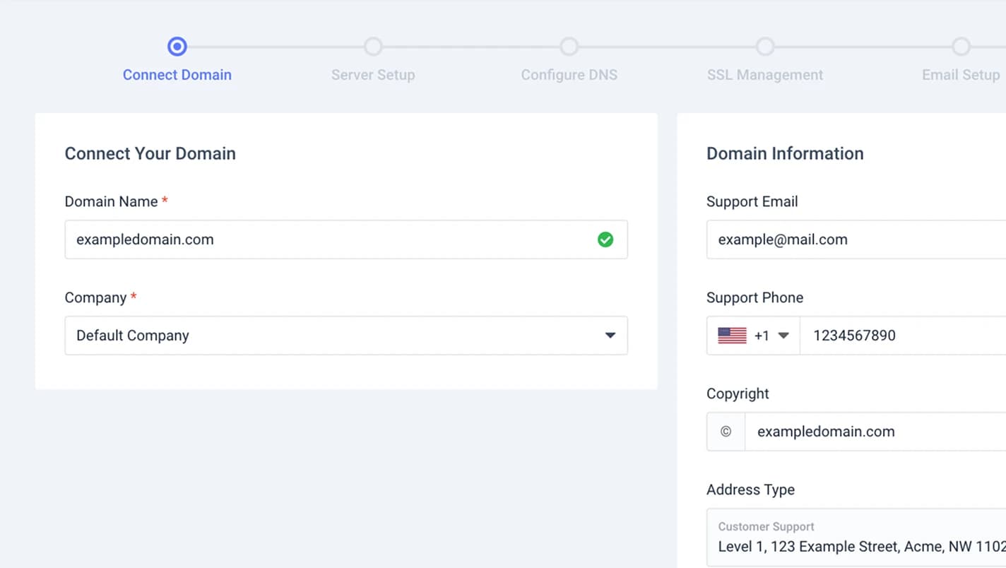 Connect Domain step preview
